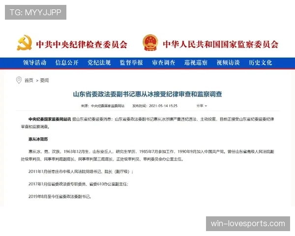 纪律委员会如何判定处罚？标准与流程全解析